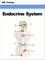  IML Training - Endocrine System (Human Body) - Human Body.