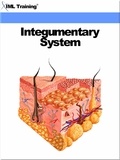  IML Training - Integumentary System (Human Body) - Human Body.
