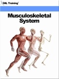  IML Training - Musculoskeletal System (Human Body) - Human Body.