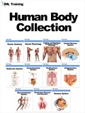  IML Training - Human Body Collection - Human Body.