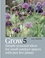 Lucy Bellamy - Grow 5 - Simple seasonal ideas for small outdoor spaces with just five plants.