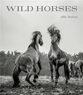 Alfie Bowen - Wild Horses.
