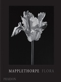 Mark Holborn - Flora - Les fleurs de Mapplethorpe.