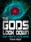 Trevor Hoyle - The Gods Look Down - Book Three of the Q Series.