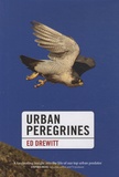 Ed Drewitt - Urban Peregrines.