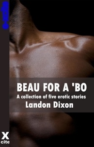 Landon Dixon - Beau For A Bo - A collection of gay erotic stories.