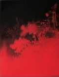 Richard Mosse - Broken Spectre - Edition en anglais, portugais, tupi-mondé & yanomami.
