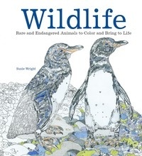 Susie Wright - Wildlife rare and endangered animals to colour and create.