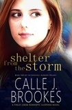  Calle J. Brookes - Shelter from the Storm - Finley Creek, #2.