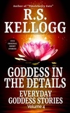  R.S. Kellogg - Goddess in the Details - Everyday Goddess Stories, #4.