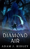  Adam J. Ridley - Diamond Air - The Witch Brothers Saga, #2.