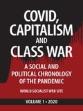  Evan Blake - Covid, Capitalism, and Class War, Volume 1 2020: A Social and Political Chronology of the Pandemic - Covid, Capitalism and Class War, #1.