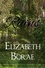  Elizabeth Borae - The Ruins - The Women of T.H.E.T.A., #6.