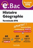Marie-Odile Boulard-Lemoine - Histoire géographie Terminale STG.