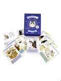 Liz Faber et Caroline Roberts - L'oracle des maîtres chats - Avec 50 cartes conseils et 1 livret pour les interpréter.
