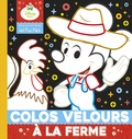  Hachette Jeunesse - Animaux ferme - Colo velours.