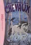 Sophie Thalmann et Natacha Godeau - Mes amis les chevaux Tome 21 : La grande aventure d'Andalou.