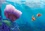  Disney Pixar - Le monde de Nemo.