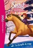  DreamWorks et Christelle Chatel - Spirit - Au galop en toute liberté Tome 4 : La tempête de neige.