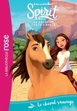  DreamWorks - Spirit 01 - Le cheval sauvage.