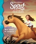  Hachette Jeunesse - Mon carnet de cavalière Spirit, au galop en toute liberté.