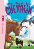 Sophie Thalmann et Natacha Godeau - Mes amis les chevaux Tome 32 : Duel de champions.
