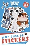  Hachette Jeunesse - Idéfix et les Irréductibles - Mon bloc de stickers et activités, avec plus de 200 stickers.