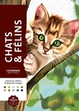 Capucine Sivignon - Chats & Félins - Coloriez les chiffres et découvrez l'image !.