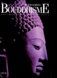Peter Harvey - Le Bouddhisme. Enseignements, Histoires, Pratiques.