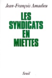 Jean-François Amadieu - Les syndicats en miettes.