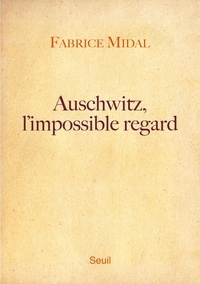 Fabrice Midal - Auschwitz, l'impossible regard.