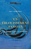 Eric Geoffroy - Un éblouissement sans fin - La poésie dans le soufisme.