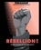 Liz McQuiston - Rebellion ! - Histoire mondiale de l'art contestataire.