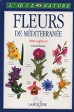 David Burnie et Derek Hall - Fleurs de Méditerranée.