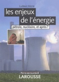 Ludovic Mons - Les enjeux de l'énergie - Pétrole, nucléaire, et après ?.