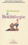 Raymond Boudon et Mohamed Cherkaoui - Dictionnaire de sociologie.