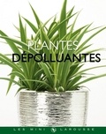 Bénédicte Boudassou - Plantes dépolluantes.