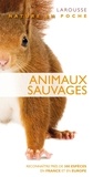 Chris Gibson - Animaux sauvages.