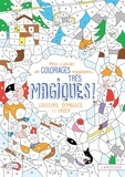 Isabelle Nicolle - Mon cahier de coloriages magiques... très magiques ! - Couleurs, symboles et hiver.