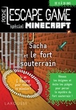 Vincent Raffaitin - Sacha et le fort souterrain.