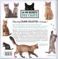 La vie secrète des chats