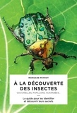 Morgane Peyrot - A la découverte des insectes - Coccinelles, papillons, scarabées....