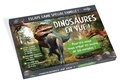 Loïc Audrain et Sandra Lebrun - Dinosaures en vue ! - Pourrez-vous vous enfuir en moins de 60 minutes ?.