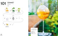 Cocktails et apéritifs. Edition augmentée