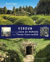 Laurent Avezou - Verdun et les lieux de mémoire de la Première Guerre mondiale.