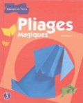 Didier Boursin - Pliages magiques.