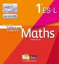 Yves Guichard et Michel Poncy - Cle usb non adopt maths 1ere ES/L.