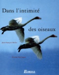 Nicolas Van Ingen et Jean-François Hellio - Dans L'Intimite Des Oiseaux.