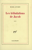 Michel Léturmy - Les tribulations de Jacob.
