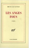 Bruno Gay-Lussac - Les anges fous.